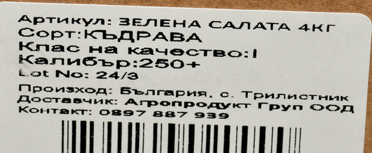 Зелена салата