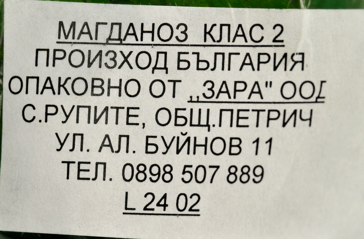 Магданоз свеж