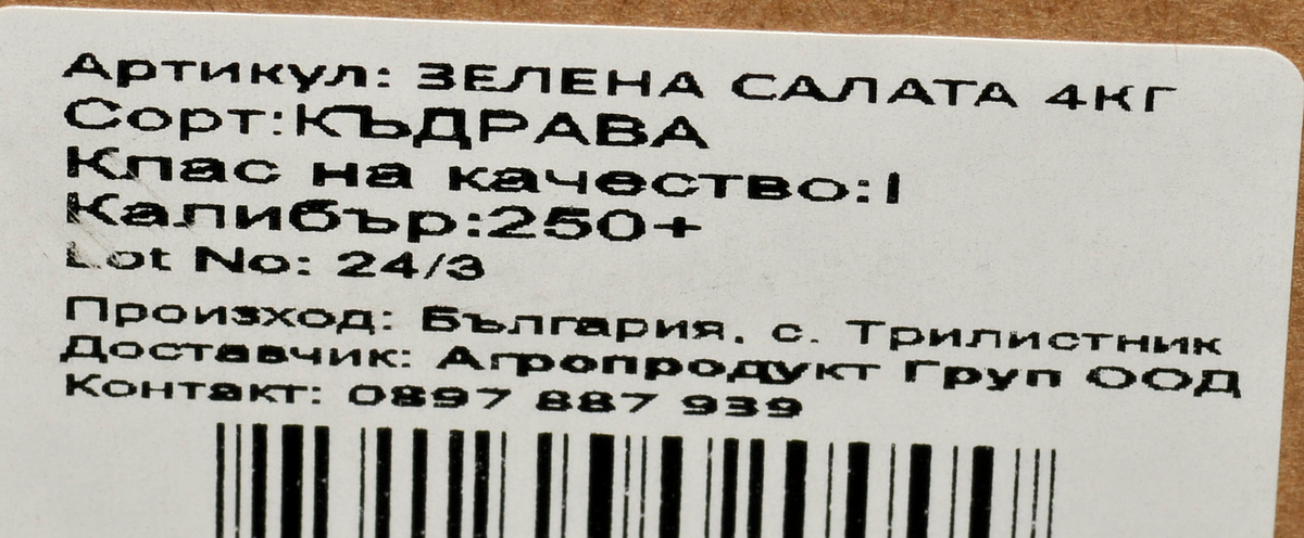 Зелена салата