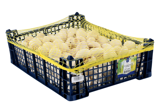 Култивирана Печурка ~3кг