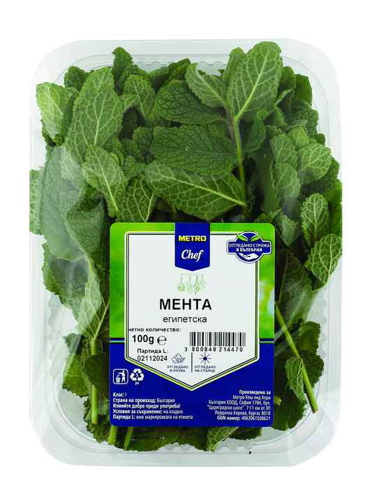 Мента египетска 100г