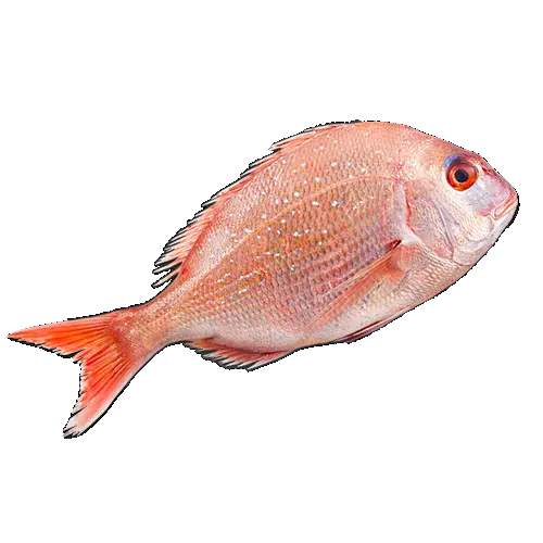 Фагри 600/800г